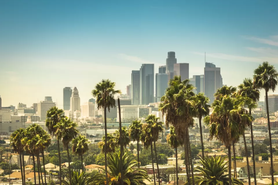 View of Los Angeles skyline on sunny day with palm trees in foreground